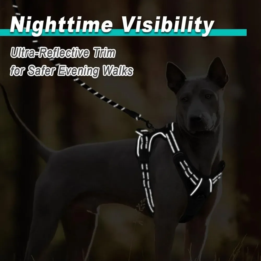 BARKBAY Dog Harness No Pull for Small Dogs - Adjustable, Reflective, Xtra Small